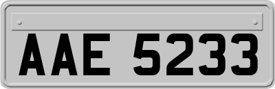 AAE5233