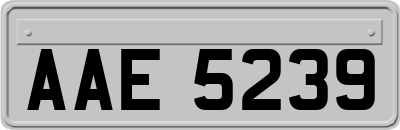 AAE5239