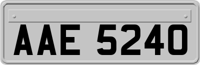 AAE5240