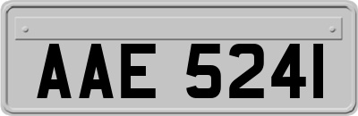 AAE5241