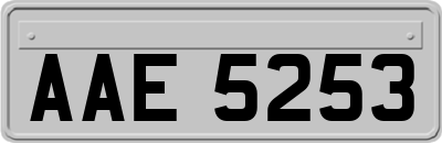 AAE5253