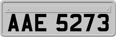 AAE5273