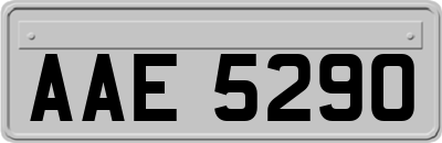 AAE5290