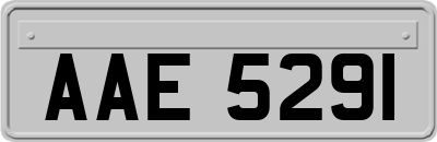 AAE5291