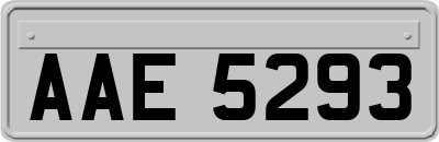 AAE5293