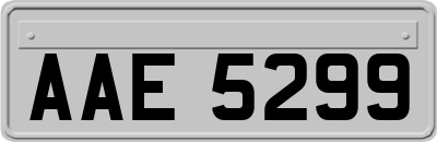 AAE5299