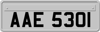 AAE5301