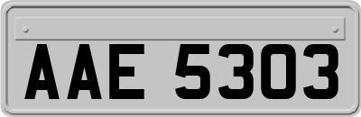 AAE5303