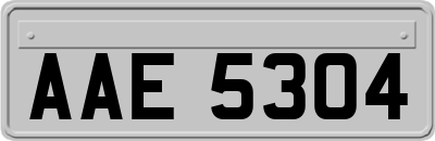 AAE5304