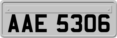 AAE5306