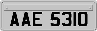 AAE5310