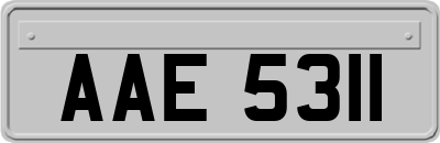 AAE5311