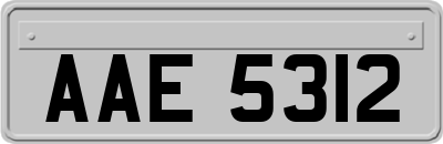 AAE5312