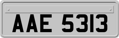 AAE5313