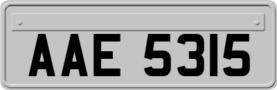 AAE5315