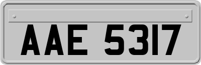 AAE5317