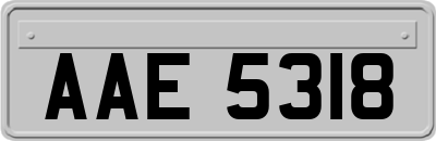 AAE5318