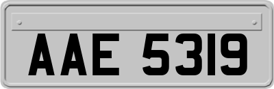 AAE5319