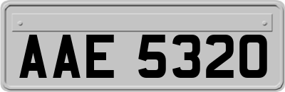 AAE5320