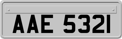 AAE5321