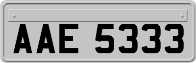 AAE5333