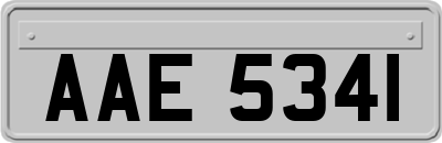 AAE5341