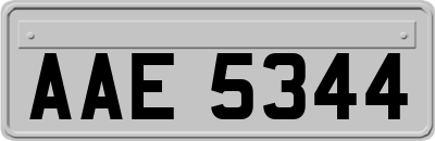 AAE5344