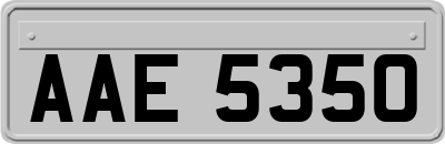 AAE5350