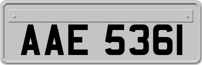 AAE5361