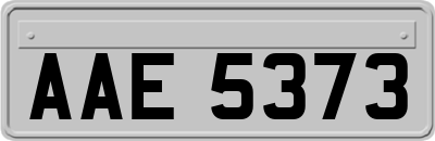 AAE5373