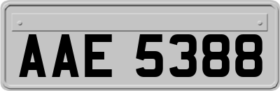 AAE5388