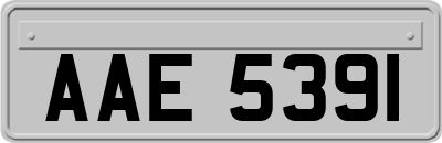 AAE5391