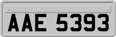 AAE5393