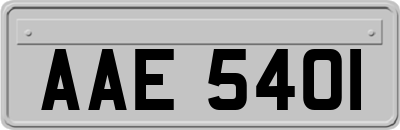 AAE5401