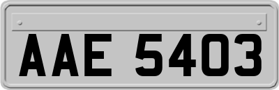 AAE5403