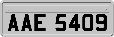 AAE5409