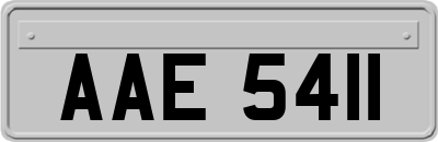 AAE5411