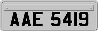 AAE5419