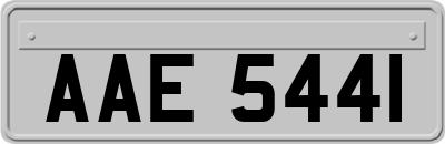 AAE5441