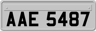 AAE5487