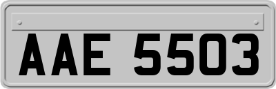 AAE5503