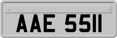 AAE5511