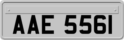 AAE5561