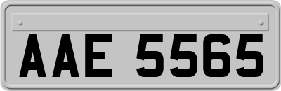 AAE5565