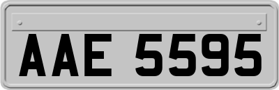 AAE5595