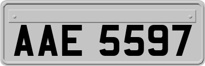 AAE5597