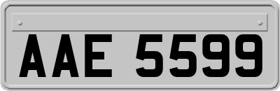 AAE5599