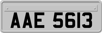 AAE5613