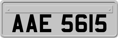 AAE5615