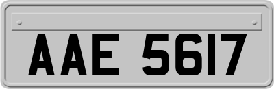 AAE5617